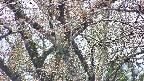 takano4-20250425131056.jpg