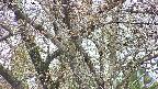 takano4-20250425135055.jpg