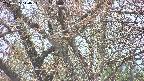 takano4-20250425140056.jpg