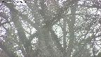 takano4-20250425142055.jpg