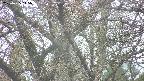 takano4-20250425145057.jpg
