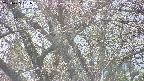 takano4-20250425151057.jpg