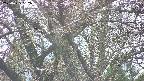 takano4-20250425152057.jpg