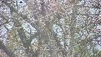 takano4-20250425154057.jpg