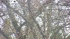 takano4-20250425164055.jpg