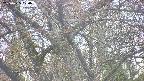 takano4-20250425170056.jpg
