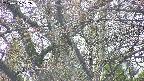 takano4-20250425172057.jpg