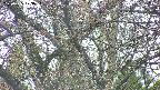 takano4-20250425173055.jpg