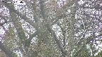 takano4-20250425180056.jpg