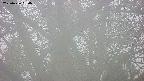 takano4-20250426050055.jpg