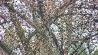 takano4-20250426051056.jpg
