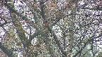 takano4-20250426052056.jpg