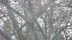 takano4-20250426055056.jpg