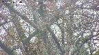 takano4-20250426060057.jpg