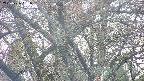 takano4-20250426061057.jpg