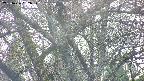 takano4-20250426062058.jpg