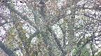 takano4-20250426063058.jpg