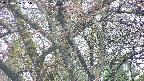 takano4-20250426065057.jpg