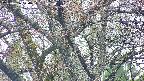 takano4-20250426070058.jpg
