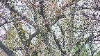takano4-20250426071057.jpg