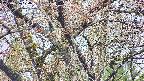 takano4-20250426074057.jpg