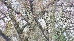 takano4-20250426091057.jpg