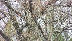 takano4-20250426102057.jpg