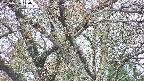 takano4-20250426120057.jpg