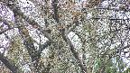 takano4-20250426131058.jpg