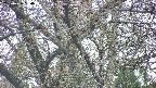 takano4-20250426134058.jpg