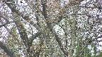 takano4-20250426135058.jpg