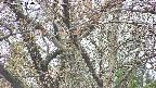 takano4-20250426140058.jpg