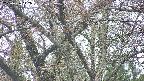 takano4-20250426142057.jpg