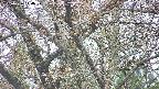 takano4-20250426144058.jpg