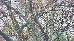 takano4-20250426163059.jpg