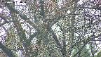 takano4-20250426164059.jpg