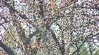 takano4-20250426165058.jpg