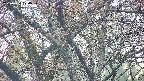 takano4-20250426170058.jpg