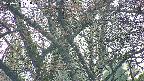 takano4-20250426171058.jpg