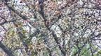 takano4-20250426180100.jpg