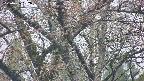 takano4-20250426182057.jpg