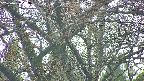 takano4-20250427053057.jpg