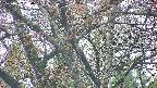 takano4-20250427060058.jpg