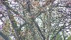 takano4-20250427061058.jpg