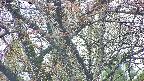 takano4-20250427063057.jpg