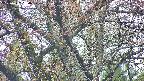 takano4-20250427064058.jpg