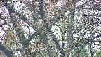 takano4-20250427065057.jpg