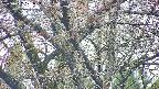 takano4-20250427071055.jpg