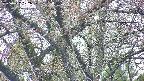 takano4-20250427072058.jpg