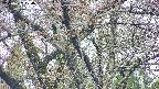 takano4-20250427074057.jpg